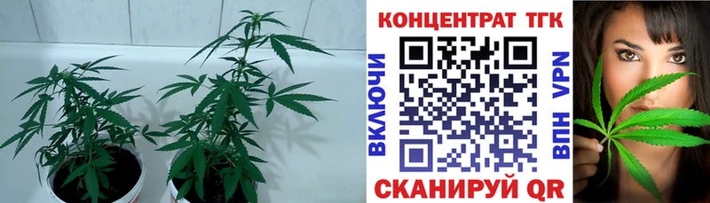 Дистиллят ТГК Wax  магазин продажи наркотиков  Краснослободск 