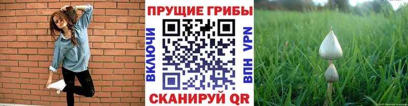 гидра как зайти  где продают наркотики  Краснослободск  Псилоцибиновые грибы ЛСД 